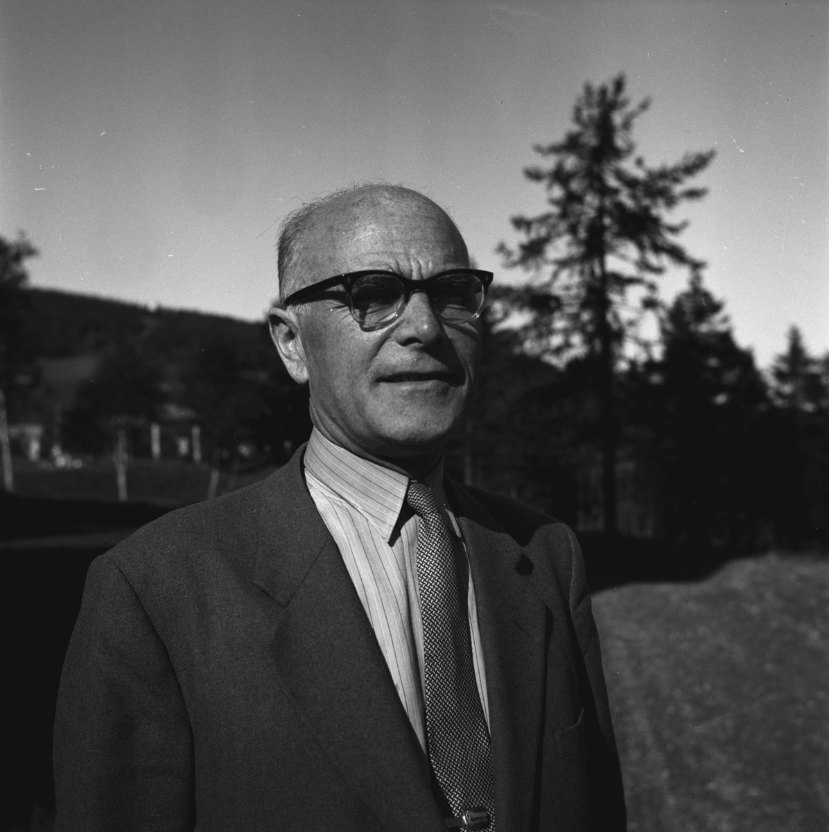 Professor Leiv Aalen.