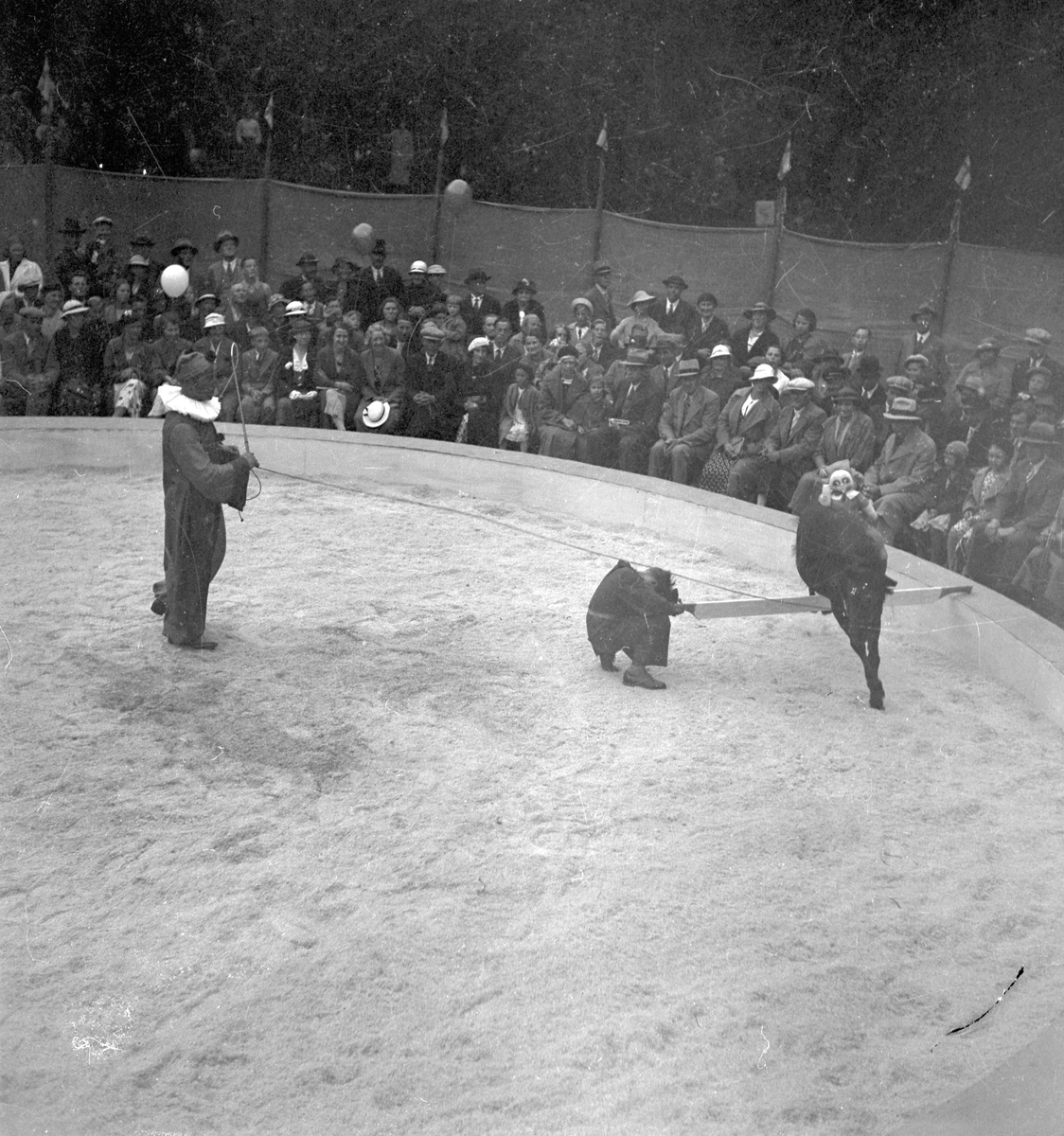 Furuviksparken invigdes pingstdagen 1936.

Folkdanslaget Furuviks Ungdomslag och Barnkabarén blev Furuviksbarnen

Clownen och hans medarbetare





