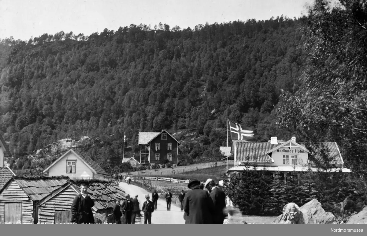 Postkort: "Parti fra Aadland, Samnanger. Enebrettiget 1908. K. Knudsen & Co. Bergen" Fra Kaptein John Paulsens postkort og private bilder. Fra Nordmøre museums fotosamlinger.