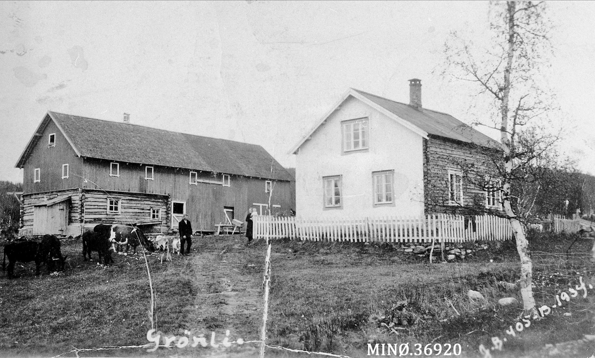 Gardsbruk -Grønli, Narbuvoll.