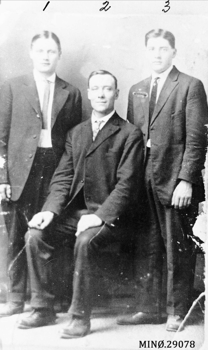 Portrett av tre menn. Haldo H. Lilletrøen f. 1896, Per O. Lilletrøen f. 1878, ukjent mann fra Romsdal. Foto tatt i USA