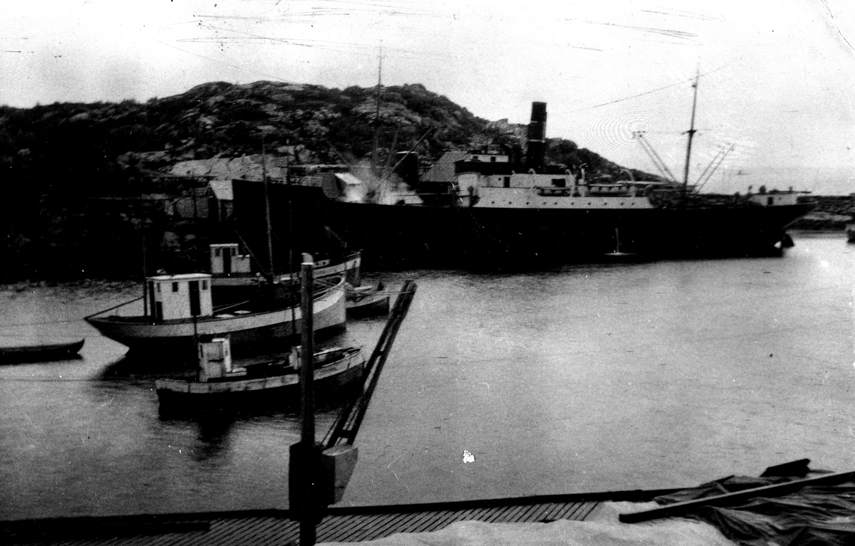 Dampbåt og diverse fiskebåter i Skrolsvik. ca. 1930.