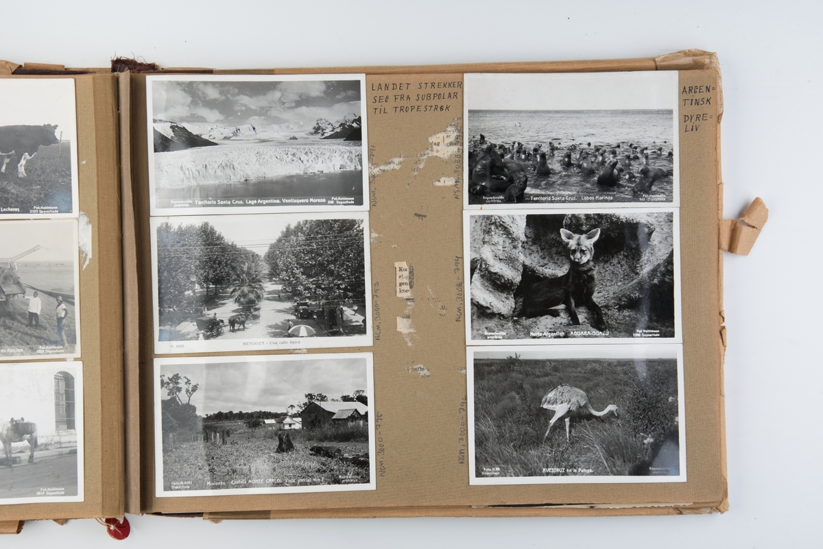 Fotoalbum med bilder tatt ombord i seilskuter, i Buenos Aires (1917-1919) og Constantza (1935-1936). Avbildede skip: Vinstra (seilskip), Earlscourt (skip), Yola (seilskip), Sirdal (seilskip), Storegrund (seilskip), Spangereid (seilskip), Alfhild (seilskip), San Jose (skip), Plus (skip), Australia (seilskip), Indiangirl (seilskip), Henrik Ibsen (dampskip), Arna (skip), Støveren (seilskip), Nordstjernen (seilskip), Rena (skip), Skomvær (skip), Bølgen (seilsskip), Manx King (seilskip), Hovid (seilskip), Marca (seilskip), William Taylor (seilskip), Alfred Nobel (dampskip), Sofie (seilskip), Asrym (seilskip), Baunen (seilskip), Spangereid (seilskip), Storegrund (skip), Hiram (skip), Songdal (seilskip)