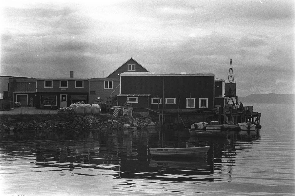 Fiskebruk og butikk i Leirvåg.