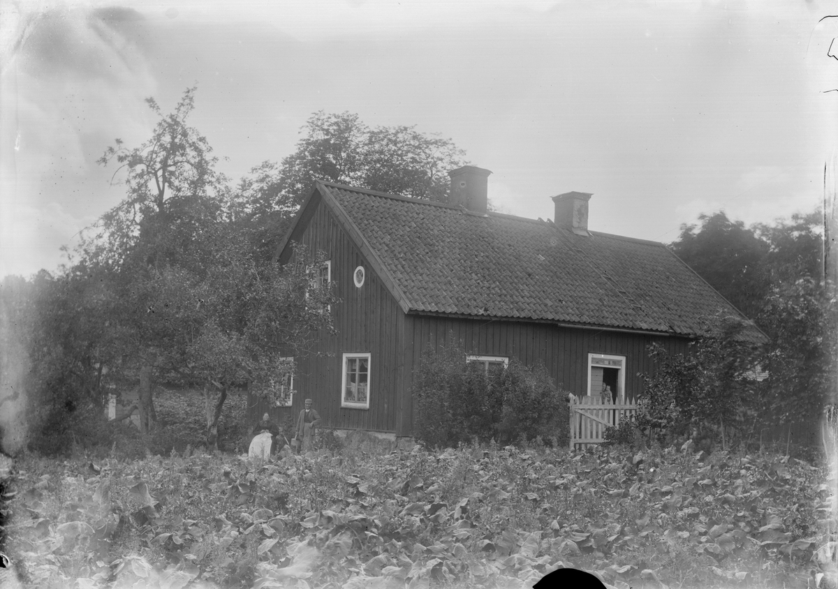 Trädgårdsmästarbostaden vid Hallkveds herrgård, Funbo socken, Uppland 1896