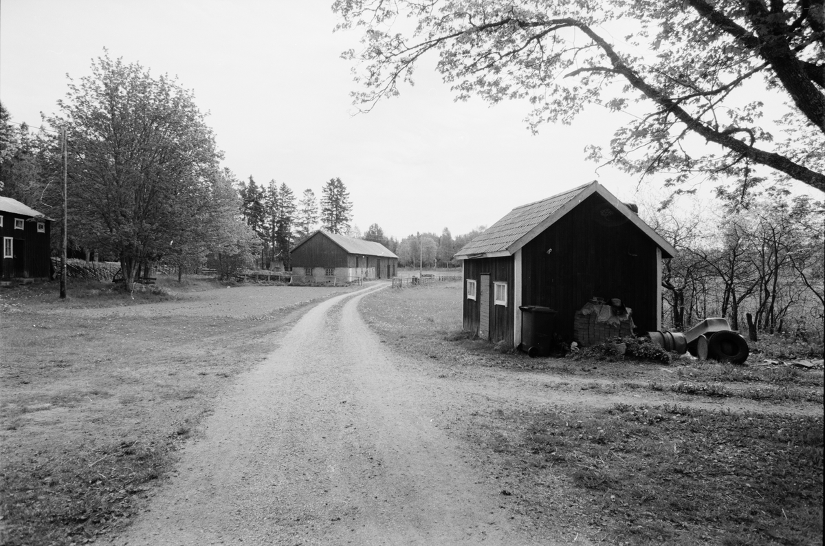 Gårdsmiljö, Lönnholmen, Gräsö, Uppland 1995