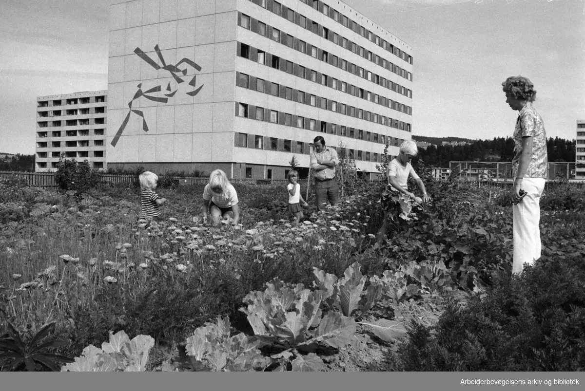 Haugenstua. 60 kvm jord til dyrking. August 1973