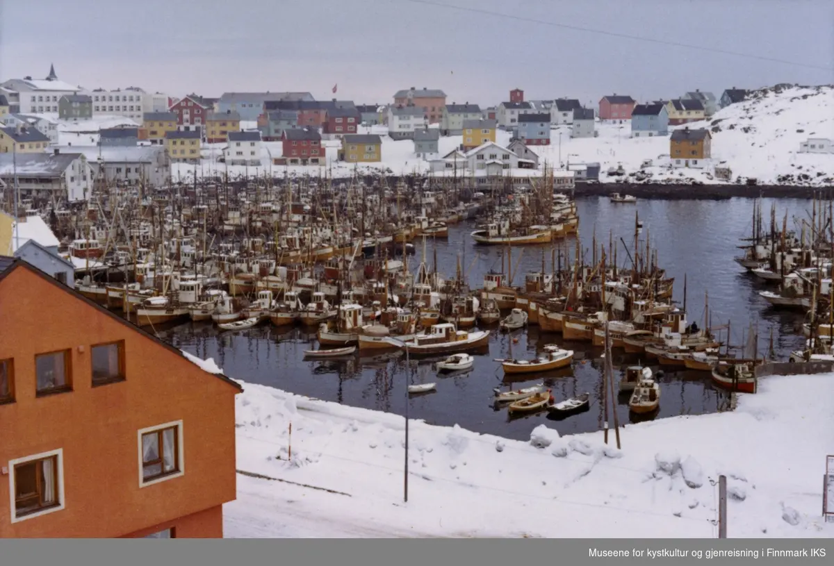 Honningsvåg. Vårtorskfiske. Mange fiskebåter i Indre havn. Begynnelsen av 1960-tallet.