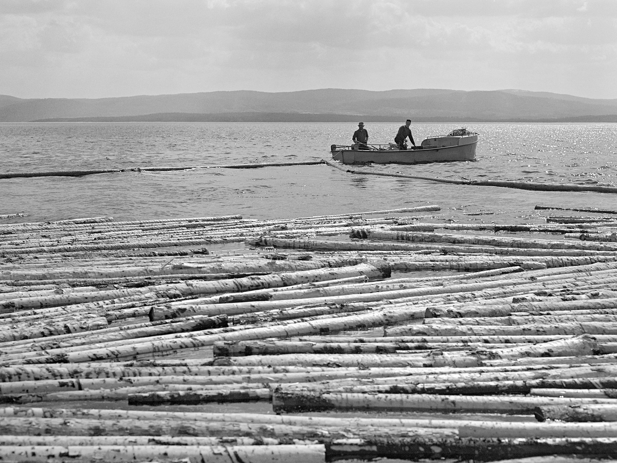 Fløtingstømmer i strandsonen ved Osmund i Nordre Osen, Åmot kommune i Hedmark våren 1980.  Fotografiet er tatt fra strandsonen, der det lå store mengder maskinbarket slipvirke (cellulosetømmer) som skulle samles i «bommer» for buksering mot Osensjøens utløp.  Sentralt i bildet ser vi en motorisert varpebåt av stål med to mann om bord.  Slike farkoster ble brukt til sleping av små tømmerbommer og til innringing og oppsamling av løstømmer langs Osensjøens strender.  Da dette fotografiet ble tatt arbeidet karene i båten med en liten ringbom.  Den store konsentrasjonen av tømmer akkurat her skyldtes at Osmundsand var velteplass og utislagsplass for store mengder tømmer fra omkringliggende skoger.  Tidligere (fram til og med 1970) ble det også fløtet tømmer i elva Nordre Osa, som hadde sitt utløp i Osensjøen på dette stedet.  Nordre Osa er den lengste av tverrelvene til denne sjøen.