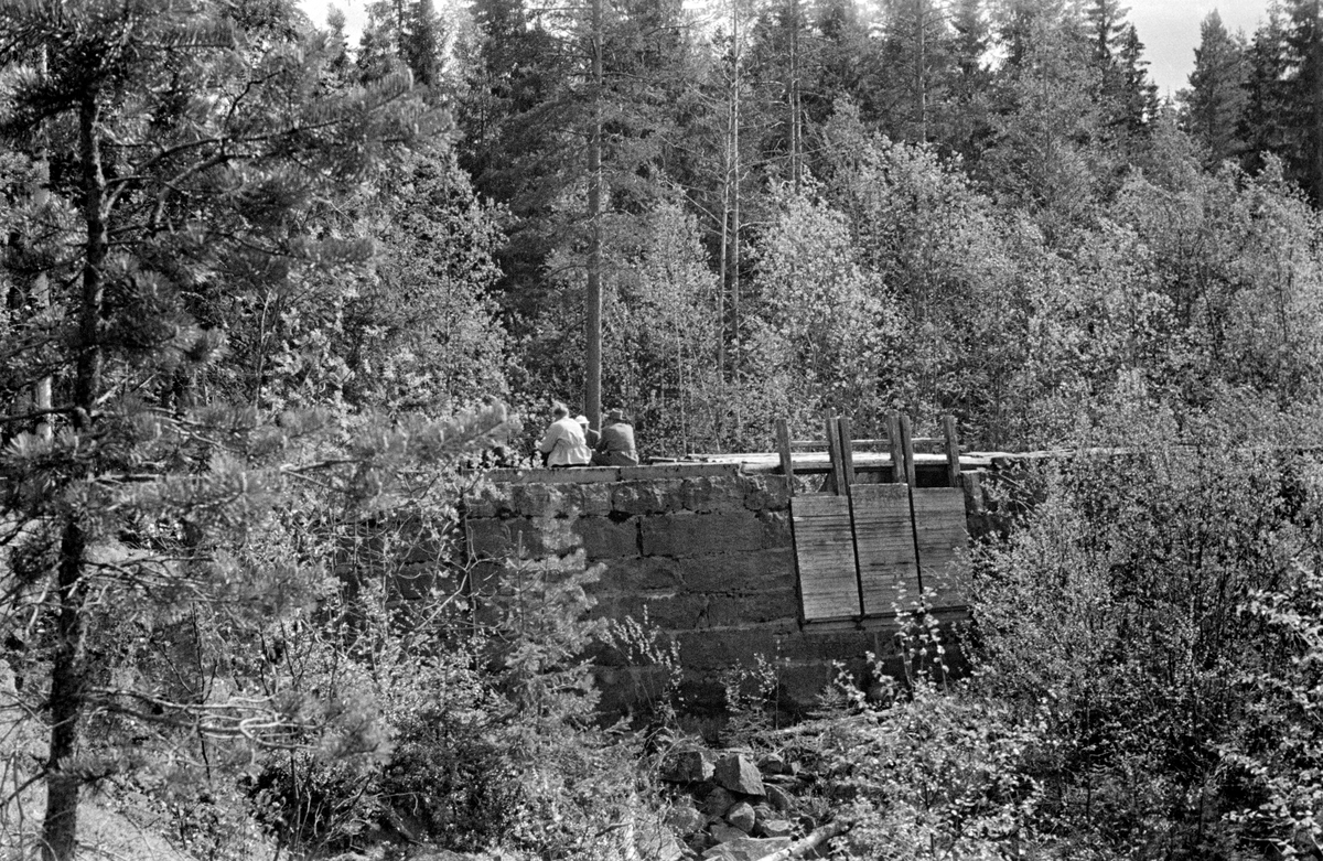 Åbefaring ved Mjøgsjødammen i Sæteråa i Sør-Odal i 1955.  Fotografiet er tatt fra den nedtappete dammen mot en kraftig gråsteinsforbygning med en avløpsåpning som er stengt av tre luker.  Karene som deltok i befaringa (jfr. SJF. 1990-01855) sitter og spiser til venstre for damåpningen.  I bakgrunnen blandingsskog. 