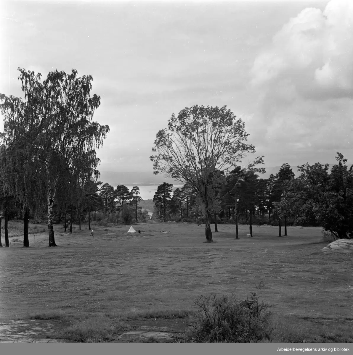Ekeberg, Hestehagen: Ekebergsletta. August 1962