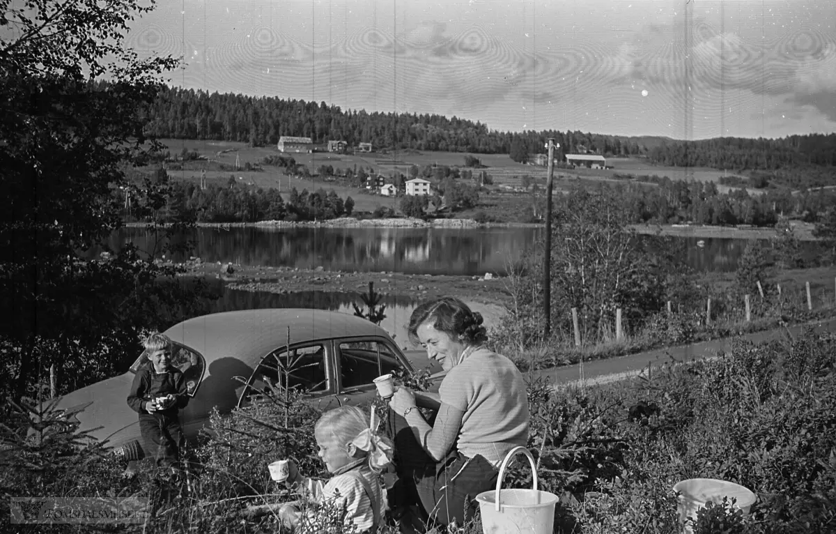 "September 1958".Midthauggårdene i bakgrunnen.