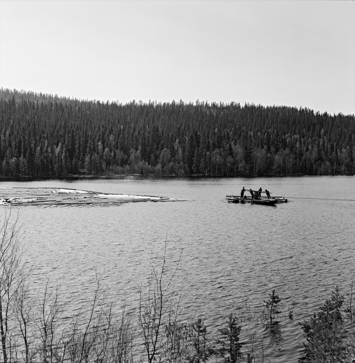 Tømmerfløting med spillflåte på en av Ulvsjøene i Trysil.  Fotografiet er tatt i slutten av mai 1969, den siste gangen spillflåte inngikk i praktisk, kommersiell fløting i Glommavassdraget.  Dette fotografiet er tatt fra land ut mot vannspeilet, der vi ser fire karer som skyver gangspillet på spillflåten rundt og rundt.  Til høyre for flåten aner vi trossa til ankeret («krabba»), som var rodd framover i sjøen i den retningen man ville ha tømmeret, og festet på botnen.  Til venstre ser vi fløtingsvirket, som var samlet i en såkalt bom, ei ringlense. 

Litt generell informasjon om spillflåtefløtinga på Ulvsjøene finnes under fanen «Andre opplysninger». Ulvsjøen. Hedmark. 