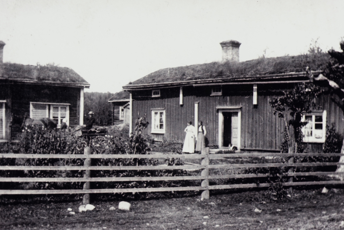 Nämndeman Emil Larsson med familj, Nedre gården, Svenshyttan, ca 1910.
Emil med häst och vagn, fru Larsson och dottern Olga (död i sot ca 1912).