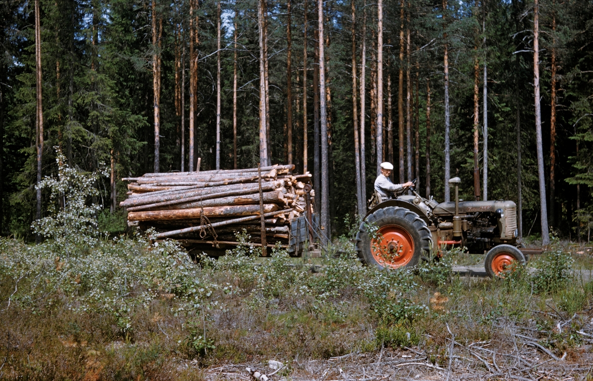 Tømmerkjøring med traktor i Telemark i 1956.  Vi ser Hans Listul fra Hjartdal på en tsjekkiskprodusert Zetor-traktor (modell 25 K) med olivengrønn motorkasse og rødoransje felger.  Bak traktoren ser vi en tilhenger med et lass ubarket, forholdsvis kort småtømmer, sannsynligvis cellulosevirke.  Fotografiet er tatt sommertid.  Traktoren kjøres på en skogsbilveg i utkanten av ei åpen flate, med forholdsvis tett, furudominert skog i bakgrunnen.  Motorisert tømmertransport, særlig langs sidevassdragene, ble stadig vanligere i 1950- og 60-åra.  Dette skyldtes dels at nye anleggsmaskiner og offentlige tilskudd gjorde det mulig å bygge stadig flere skogsbilveger.  I et fylke som Telemark ble det dessuten prosjektert og gjennomført store kraftutbyggingsprosjekter, der utbyggerne måtte kompensere for mer eller mindre tørrlagte fløtingsvassdrag med bygging av erstatningsveger.  Dermed ble det mulig å kjøre tømmeret fram til hovedvassdragene, der fløtinga fortsatt var en konkurransedyktig transportform.  Ikke alle vegene som ble bygd i Telemark-skogene i denne perioden hadde en standard som gjorde dem egnet for lastebiltransport.  Direktør Einar Aasaaren i Skiensvassdragets Fellesfløtningsforening var blant dem som argumenterte for bruk av traktor på slike ferdselsårer, en argumentasjon som for øvrig var helt på linje med en sentral strategi i det miljøet som arbeidet med utviklinga av driftsteknikken i det norske skogbruket i denne perioden.  En satset på materiell som var tilpasset strukturen i det norske skogbruket, med mange små eiendommer som ble drevet i kombinasjon med jordbruk.  Aasaaren begrunnet satsinga på traktorløsninger slik: 

«For de mange mindre og små skogeiere her i landet vil det i mange tilfeller neppe være økonomisk mulig på lønnsom basis å bygge, og vedlikeholde, et skogsbilvegnett som er tilfredsstillende, hensyn tatt til terreng, årlig hogstkvantum og stadig økende akseltrykk på bilene.  Det disponible bilmateriell er også begrenset.  Heller ikke er det økonomisk mulig å ha en bilpark som er så stor at biltransporten av tømmer til vassdrag kan avvikles tilfredsstillende på den tid som står til rådighet.  Situasjonen er mest ugunstig øverst i fløtningsvassdrag, der rensken først passerer.  Spørsmålet blir om man har muligheter for i betydelig grad å sette inn andre transportmidler ved siden av bilene, for derved å påskynde tømmertransporten til vassdragene.  I de 85 000 jordbrukstraktorene man nå har, finnes en reserve av transportmateriell som burde utnyttes bedre.  Ved passende transportlengder bør det være god økonomi i vesentlig større utstrekning enn hittil å benytte skikkede traktorer til vegtransport av tømmer. …»

En del skogeiere brukte traktorer på denne måten i 1950- og 60-åra, men etter hvert ble bruken av traktoren konsentrert om framkjøring fra skogen, gjerne med vinsj som hjelpemiddel.  På skogsbilveger og andre veger ble det stadig oftere lastebiler som bar fram tømmeret.