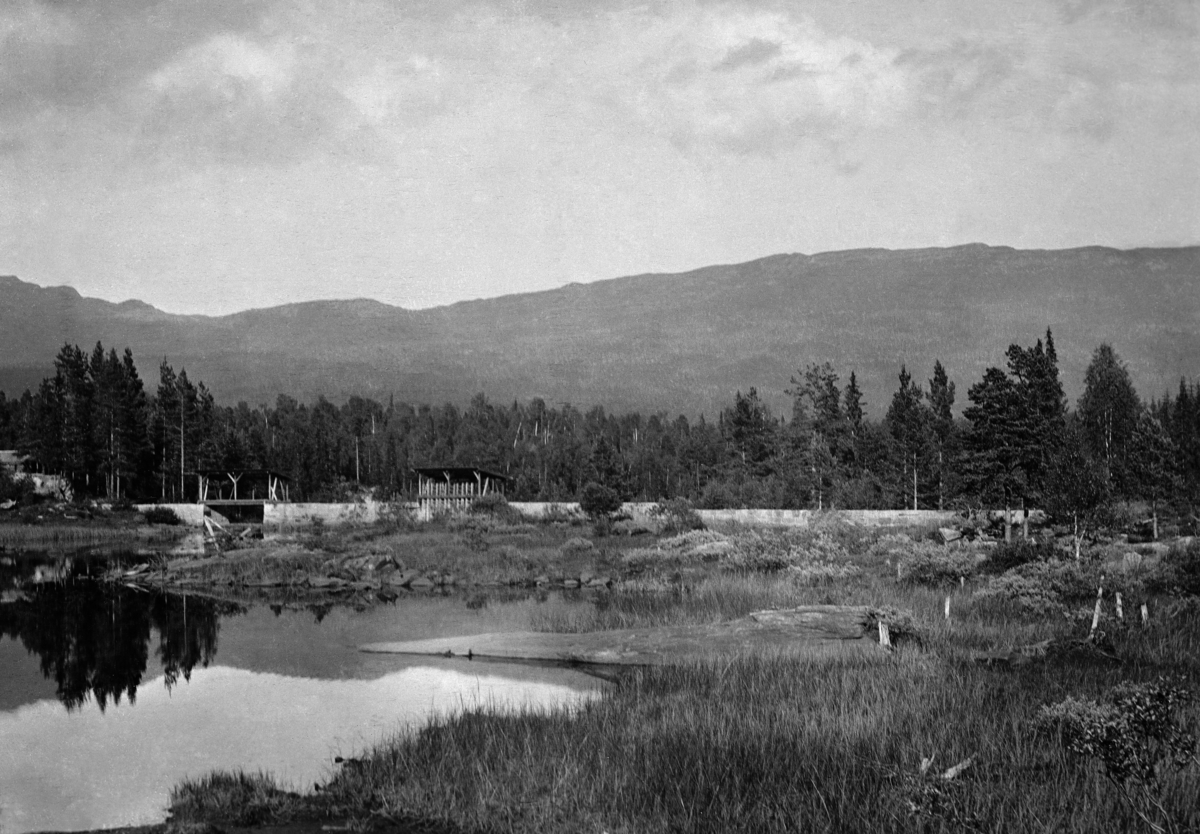 Den nedre Bjørvassdammen (navnet har også vært stavet Bjorvannsdammen eller Bjårvannsdammen) i Rauavassdraget i Tinn kommune i Telemark.  Fotografiet er tatt fra damsida, antakelig midt på sommeren i 1924, i hvert fall på et tidspunkt da vannstanden var lav.  Bildet viser en tørrmurt steindam med to løp, som begge er overbygd med åpne skur pulttak (jfr. bl. a. SJF-F. 007525), antakelig for å forlenge levetida på dambruene av tre.  Da dette fotografiet ble tatt sto det luker i det ene løpet (til høyre), mens det andre sto fullstendig åpent.  I bakgrunnen ser vi skogkledde åser. 