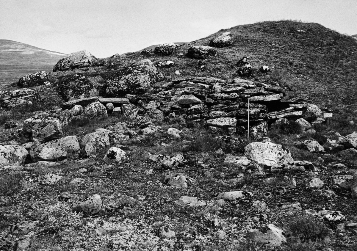 En oppmurt steinkonstruksjon cirka 200 meter nord for utløpet av Råkvatnet i Lom, om lag 1 360 meter over havet.  En 70 centimeters tommestokk er oppsatt ved den murte hvelvingen, for å vise dimensjonen.   Dette var en lokalitet Sonja og Edvard K. Barth oppsøkte i 1980 som ledd i sitt arbeid med å oppspore kulturminner knyttet til falkefangst i Norge.  Rolv K. Øygard hadde omtalt stedet som ei «falkefangerhytte» i en artikkel i Dølaringens årbok fra 1931.  Seinere var stedet nevnt i flere andre presentasjoner av slike tradisjoner, og kunstneren Trygve Håkenstad fra Vågå hadde også tegnet anlegget.  Det var også satt opp et skilt ved siden av den murte konstruksjonen som knyttet den til falkefangfsten.  Det dreier seg om et trangt, tørrmurt anlegg som det så vidt lar seg gjøre for en voksen mann å krype inn i.    Sonja og Edvard K. Barth hadde i løpet av 1970-åpra undersøkt flere falkefangstanlegg, og Edvard var svært skeptisk til om dette virkelig kunne være et slikt anlegg.  Bakpå kopien av dette fotografiet hadde han – stadig i 1980 – notert følgende:  

«Den «antatte» falkefangerbua N. for Råkvassosen (65 m. N. for fiskebua til Trygve Håkenstad).  Jfr. N. Skogbr. Mus. Årb. Nr. 2 s. 53-54.  Steinkransen t.v. er også blitt betraktet som en burest av samme karakter.  «Tommestokken» på bildet er 70 cm lang.»

I en artikkel Barth publiserte om falkefangstanlegg i 1984 vurderer han også en annen bruk, nemlig fuglefangst ved hjelp av hendene. Han refererte til noe han kjente som en amerikansk tradisjon, der fangeren lå gjemt inne i ei slik hytte med ei levende lokkedue i snor foran seg. Når rovfuglen slo ned på dua, kunne fangstmannen langsomt trekke fuglene mot seg, inntil han kunne gripe den i angripende i beina og fange den.  Liknende fansttradisjoner skal ha forekommet i Norge, men heller knyttet til ørn enn til falk. Barth drøfter også muligheten for at en fangstmann kan ha ligget skjult i denne «hytta» med ei snor som kunne utløse et slagnett et stykke unna. Også denne muligheten avviser Barth, dels med henvisning til at det var for trangt inne i hytta til at fangsmannen kunne operere slike snorer, dels fordi et beliggenheten ikke gjorde hytta til noe godt observasjonssted for falkefangst. Han ble i stedet stående ved at denne murte overbygningen i høyden kunne ha vært overnattingssted for falkefangere. Ei langt mer troverdig tuft knyttet til falkefangst fant Sonja og Edvard Barth om lag 800 meter sørsørvest for Råkåvatnet (jfr. SJF-F.008005).