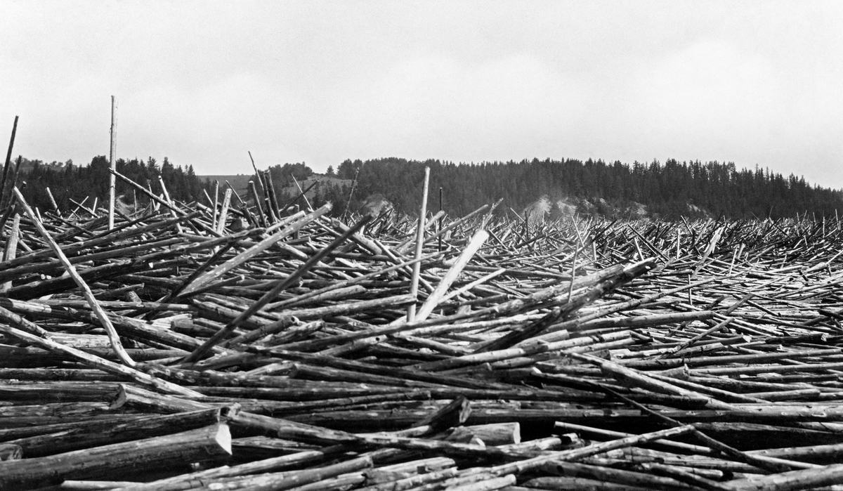 Oppstuvet tømmer ved Bingen i Sørum i Akershus i midten av juli 1917.  Strømmen i Glomma har presset tømmeret sammen slik enkelte av stokkene ble stående med endene til vært.  Det var flere årsaker til den store opphopinga av tømmer ved Bingen dette året.  Det var høykonjunktur i skogbruket.  I 1917 skal det ha vært 14 818 467 stokker som var innmeldt til fløting.  I tillegg lå det igjen en del virke som fløterne ikke hadde maktet å få «utfløtt» året før, da flom hadde skapt problemer.  Våren 1917 kom seint, og den var nedbørsfattig.  Dermed var vannføringa såpass lav at det gikk langsomt med fløtinga i den perioden som normalt var den mest aktive sesongen.  Når det omsider kom en regnflom ved St. Hans-tider var Glomma plutselig full av tømmer, mye mer enn cirka 130 lensearbeidere ved Bingen kunne ekspedere videre i det tempoet nytt virke kom flytende fra skogbygdene ovenfor.  Til slutt lå det sammenstuvet tømmer fra lensa og helt opp i Bingsfossen.  Fløtingsfunksjonærene anslo at det på det meste dreide seg om 5,2 – 5,5 millioner stokker.  Arbeidet med å få løst opp det sammenstuvete tømmeret og ledet det ned til sorteringsanleggene på Fetsund.  Følgelig ble sesongen uvanlig lang.  Det siste tømmerslepet over Øyeren dette året skal ha gått så seint som i månedsskiftet november-desember.