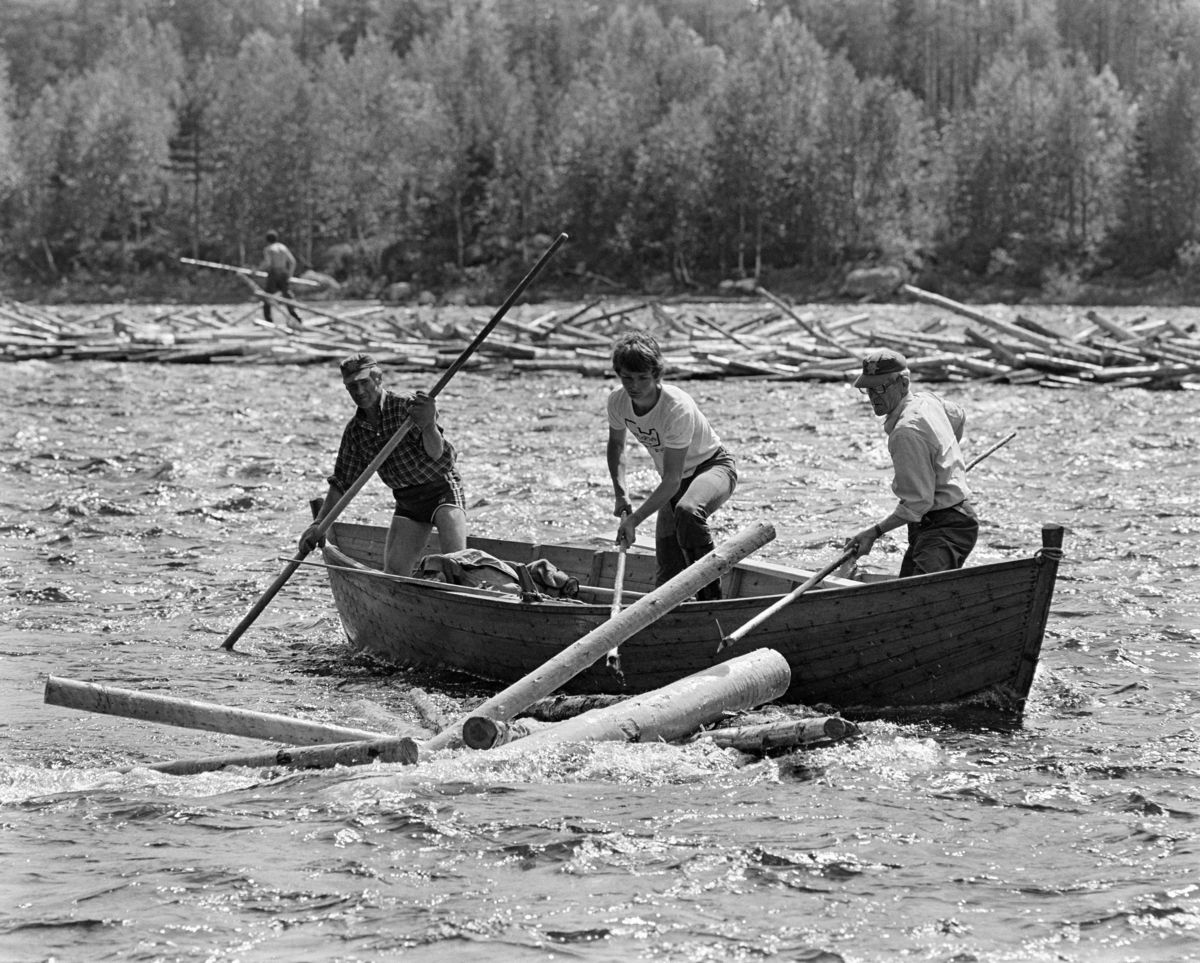 Fra tømmerfløtinga på Trysilelva i Hedmark sommeren 1978.  I forgrunnen ser vi en fløterbåt som Einar Liberg (til venstre) og Ole K. Rømoen holdt rolig i elvestrømmen ved å presse overendene av hakeskaftene sine ned mot botnen, mens den yngre arbeidskameraten Bjørn Graff forsøkte å løsne stokker som hadde satt seg fast like ved båten ved hjelp av en langskaftet fløterhake.  Bak båten skimter vi en lang, smal tømmervase der strømmen i elva hadde presset stokkene sammen, slik at de sprikte i mange retninger.  Her skimter vi en ung fløter med hake (muligens Jan Jensen, som seinere har tatt navnet Jan Nordvålen) på veg nedover for å løsne tømmeret.  Langs elvebredden vokste det lauvskog, bakenfor raget eldre gran- og furutrær betydelig høyere.

I 1978 skal det ha vært innmeldt 70 699 kubikkmeter tømmer til fløting i Trysilelva.  Tømmeret gikk til svenske kjøpere, som til sammen skal ha mottatt 112 463 kubikkmeter virke fra Trysilvassdragets nedslagsfelt.  Differensen mellom de to tallene må antakelig ha vært virke som ble transportert over riksgrensa på lastebiler.   I 1978 sysselsatte Klarälvens flottningsförening 27-28 sesongarbeidere med fløting på norsk side av grensa.  Mange av disse var veteraner, men fløtingsledelsen var opptatt av å rekruttere yngre aktører også, med sikte på at fløtinga i Trysil skulle fortsette sjøl om den ble nedlagt i mange andre vassdrag.  Langs Trysilvassdraget var det stor interesse for slikt arbeid. Fløting av tømmer. Skogbruk. Tømmerfløtere.