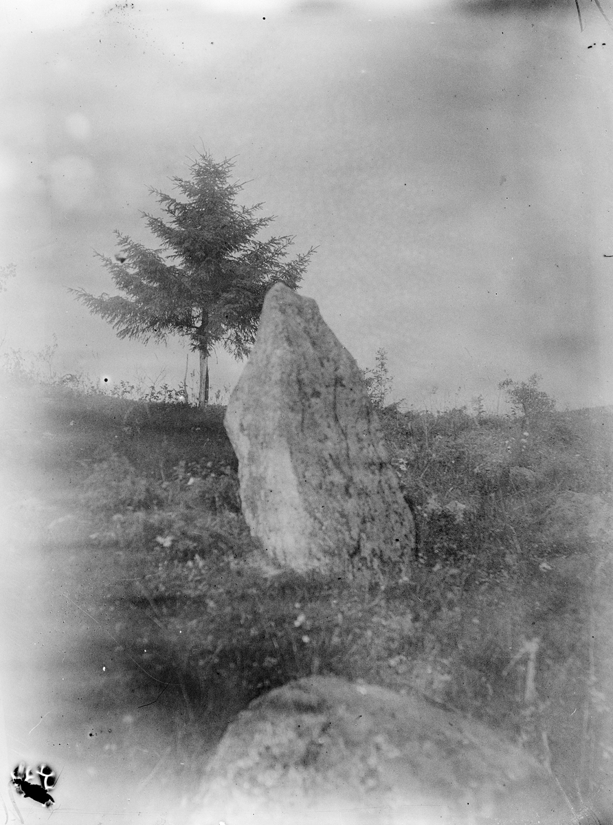 Stående sten i hagmark 1924