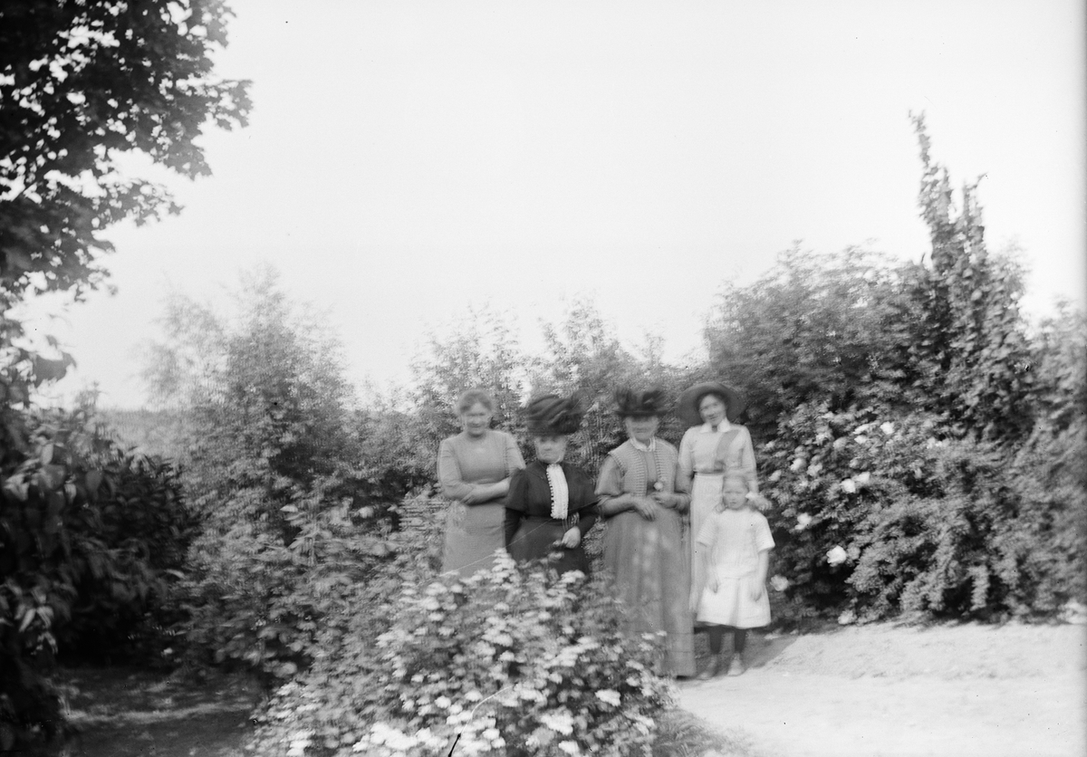 Teres Karlinder, Karin Arnell med flera personer i trädgården i Drävle, Altuna socken, Uppland 1908