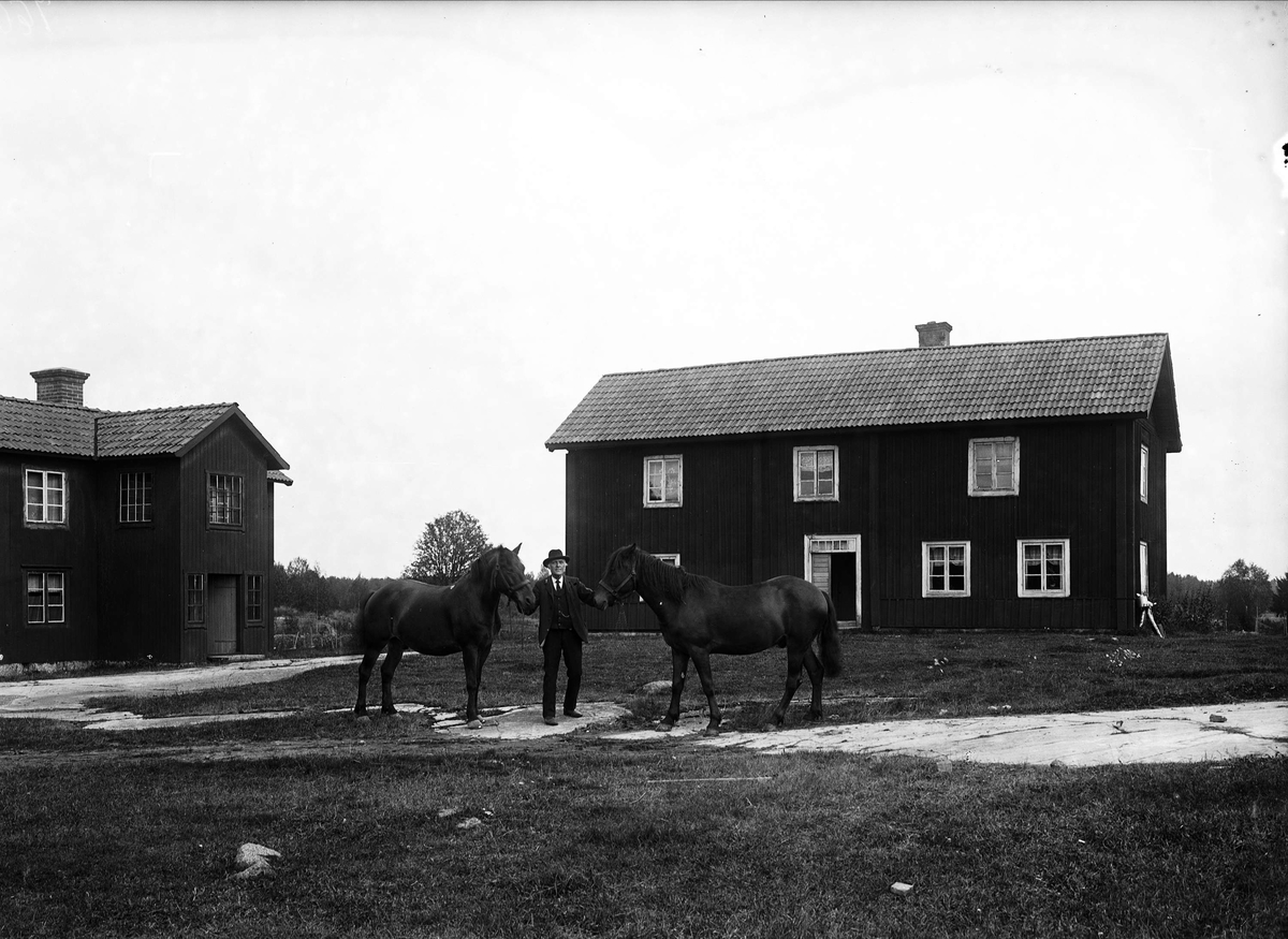Man med två hästar på gårdsplanen, Dragmansbo, Altuna socken, Uppland
