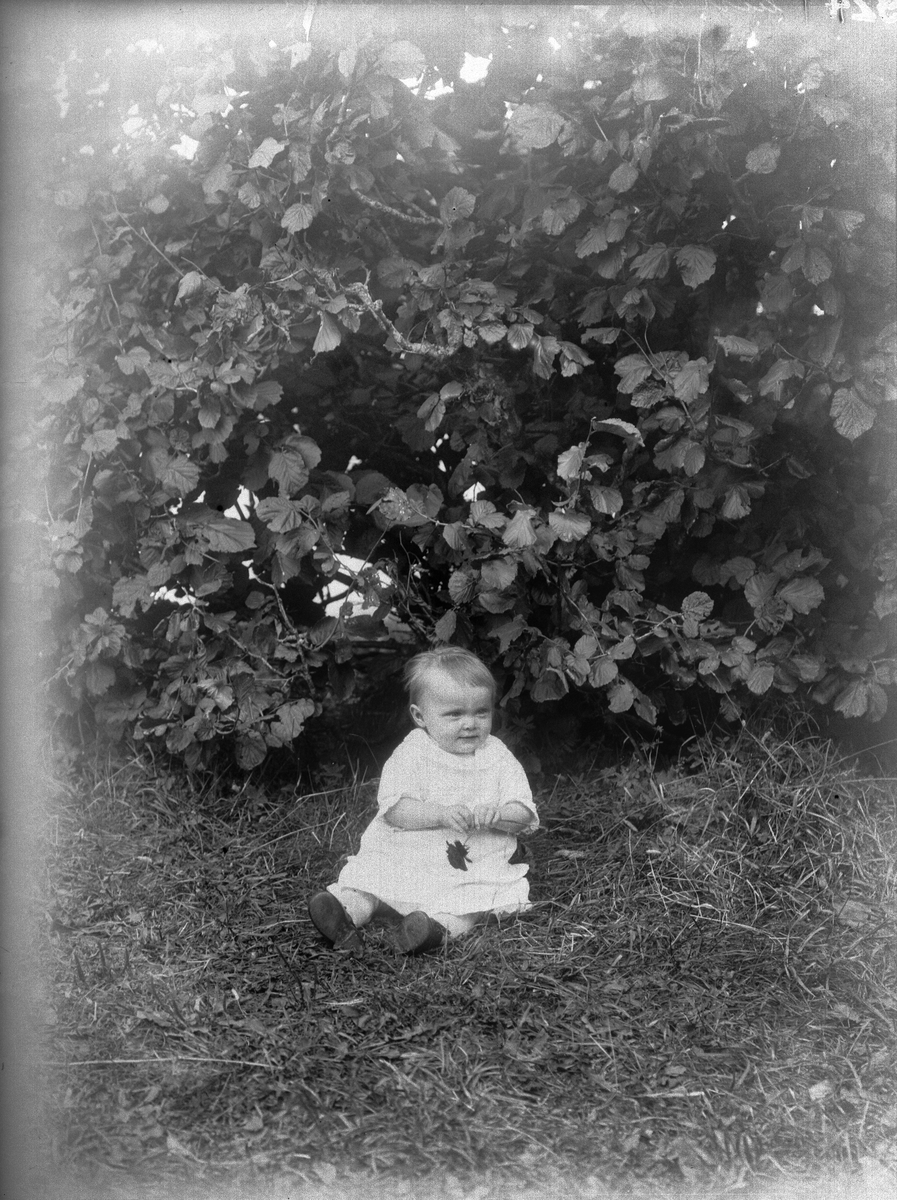 Gertrud sitter i trädgården, Uppland 1924