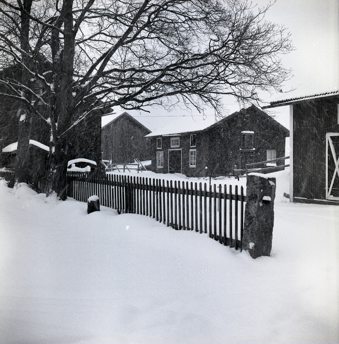 Snöväder på gården Sunnanåker i Rengsjö, 6 december 1959.