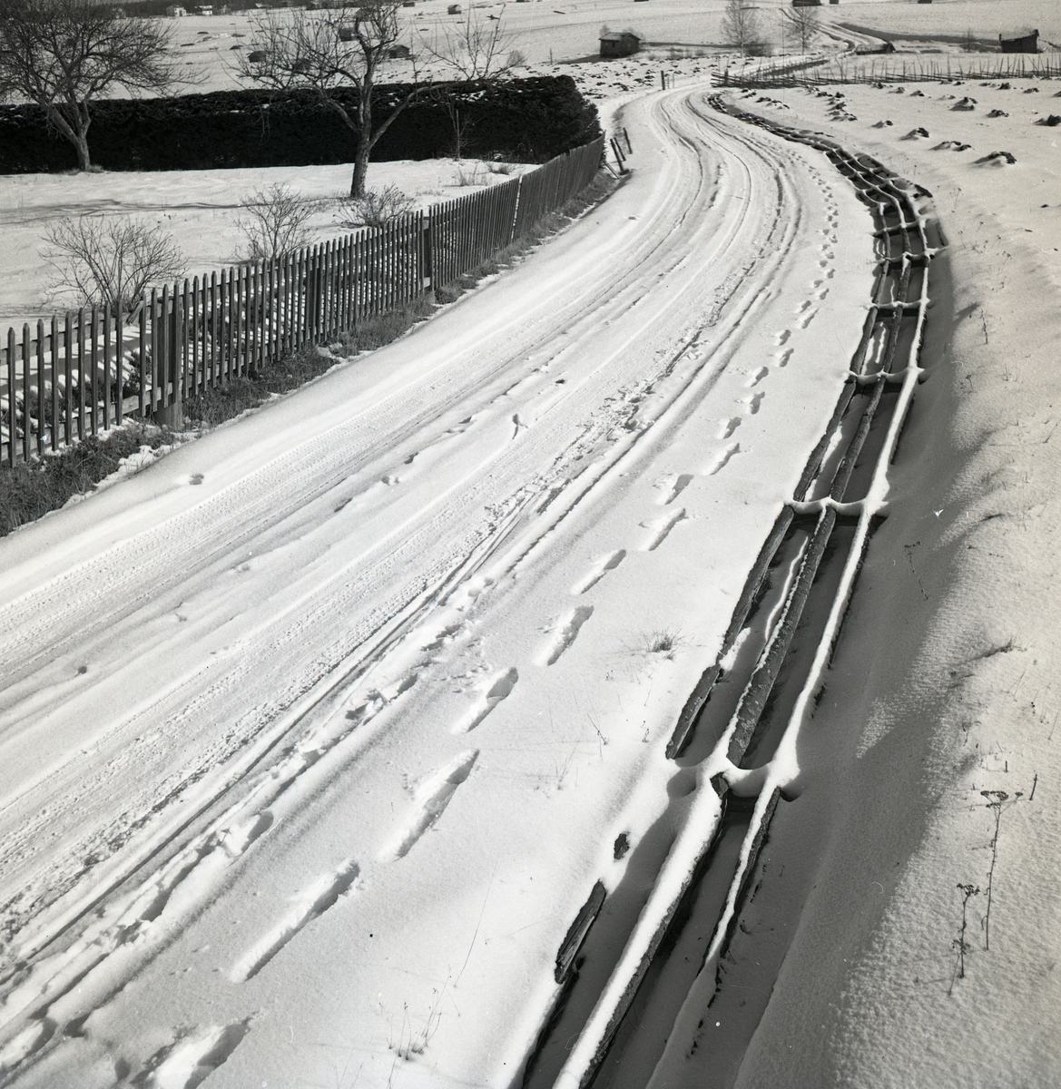 Snöig väg med staket på båda sidorna i Knyssla, mars 1949.