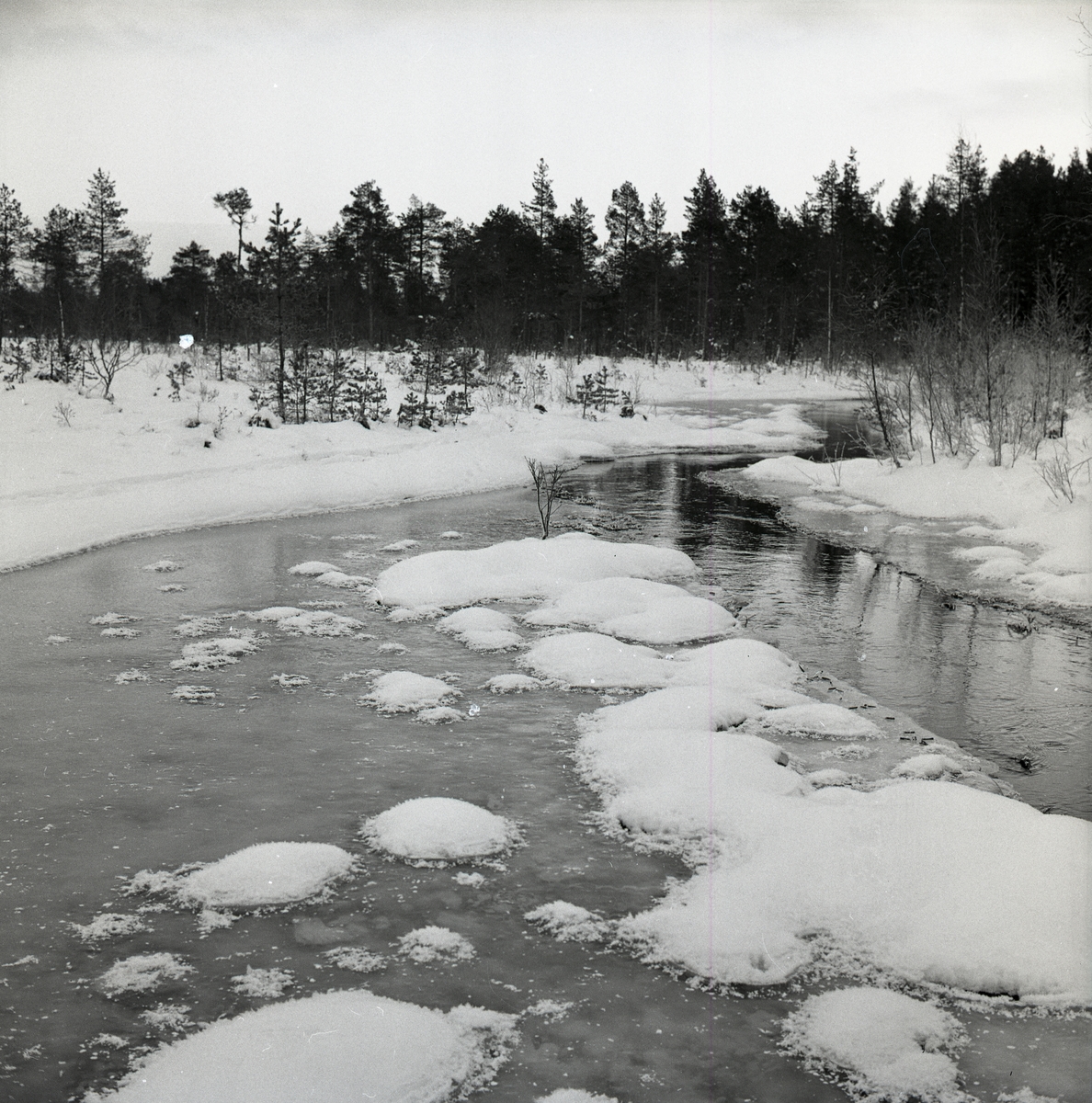 Hölesjöån med snöplättar i tussliknande former, 25 december 1963.