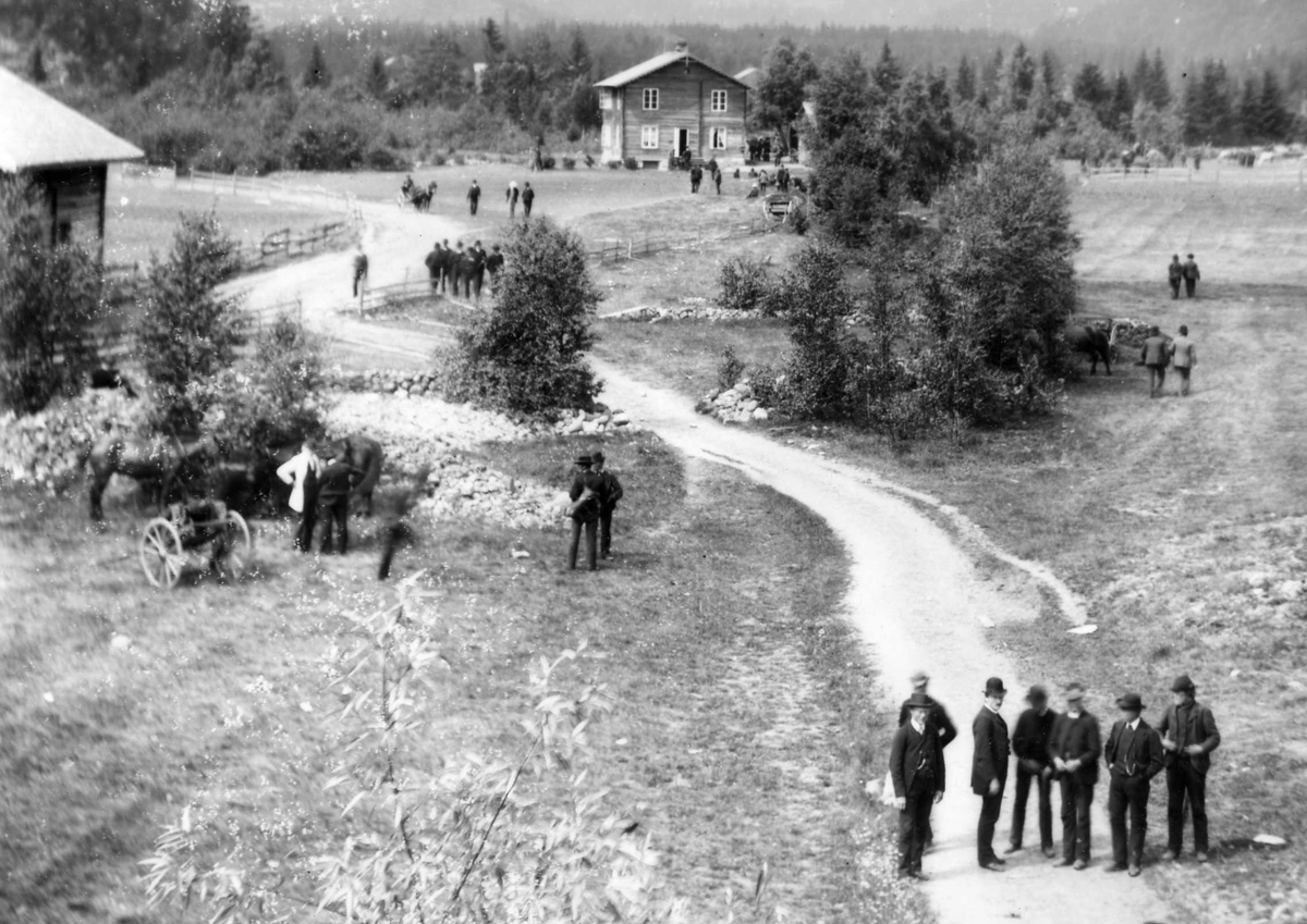 Tokkedalens hestemarken 1891.