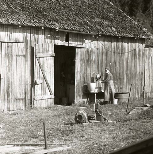 En kvinna står vid ett bord med hinkar och kärl. Bordet står intill en laduvägg, 1969.