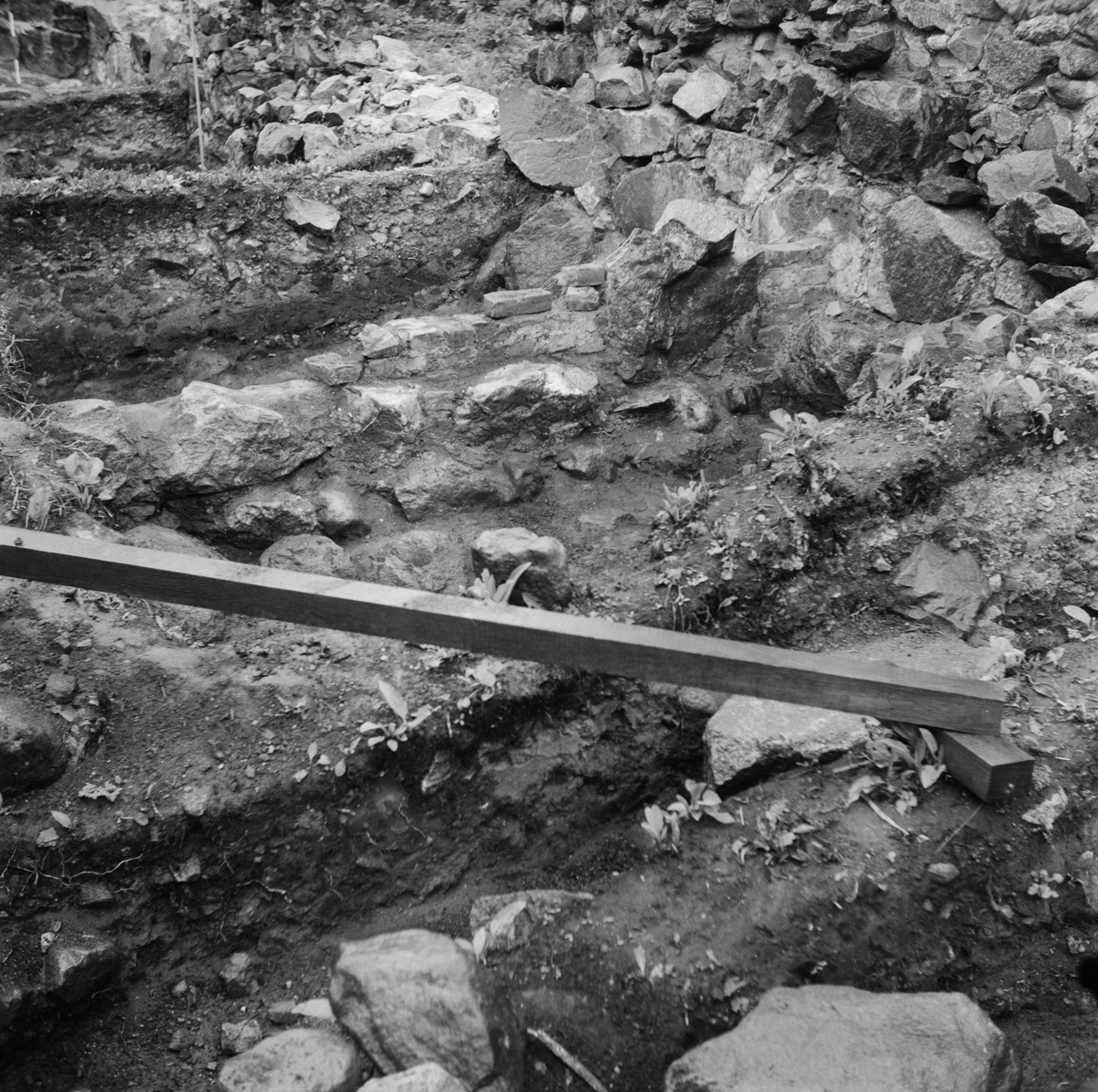 Intressanta ruinfynd i Tierp, Uppland, augusti 1971
