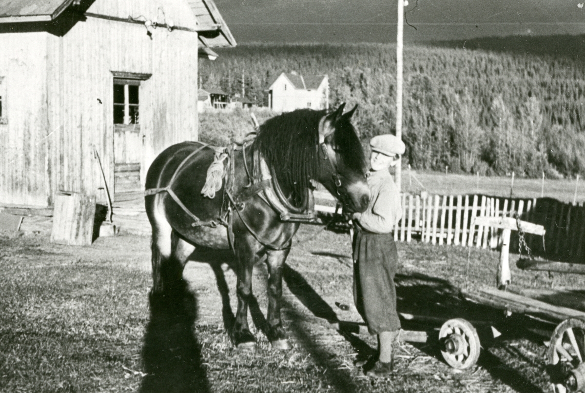 Forbereding til våronn på garden Kolstadbakken 1940.