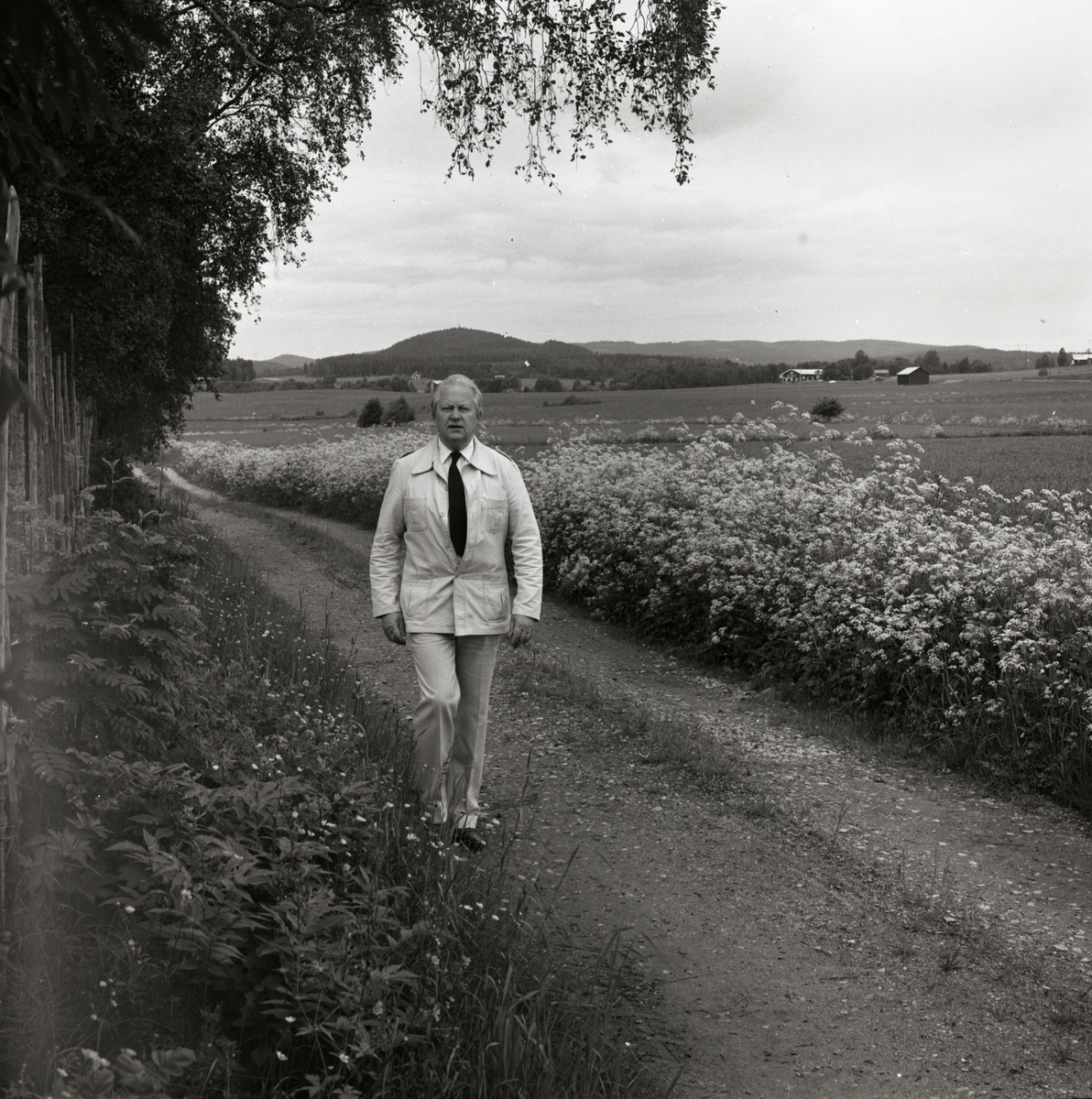 Bo Setterlind vandrar längs en väg omgiven av åkrar och sommarblomster. I bakgrunden syns några hus, 1987.