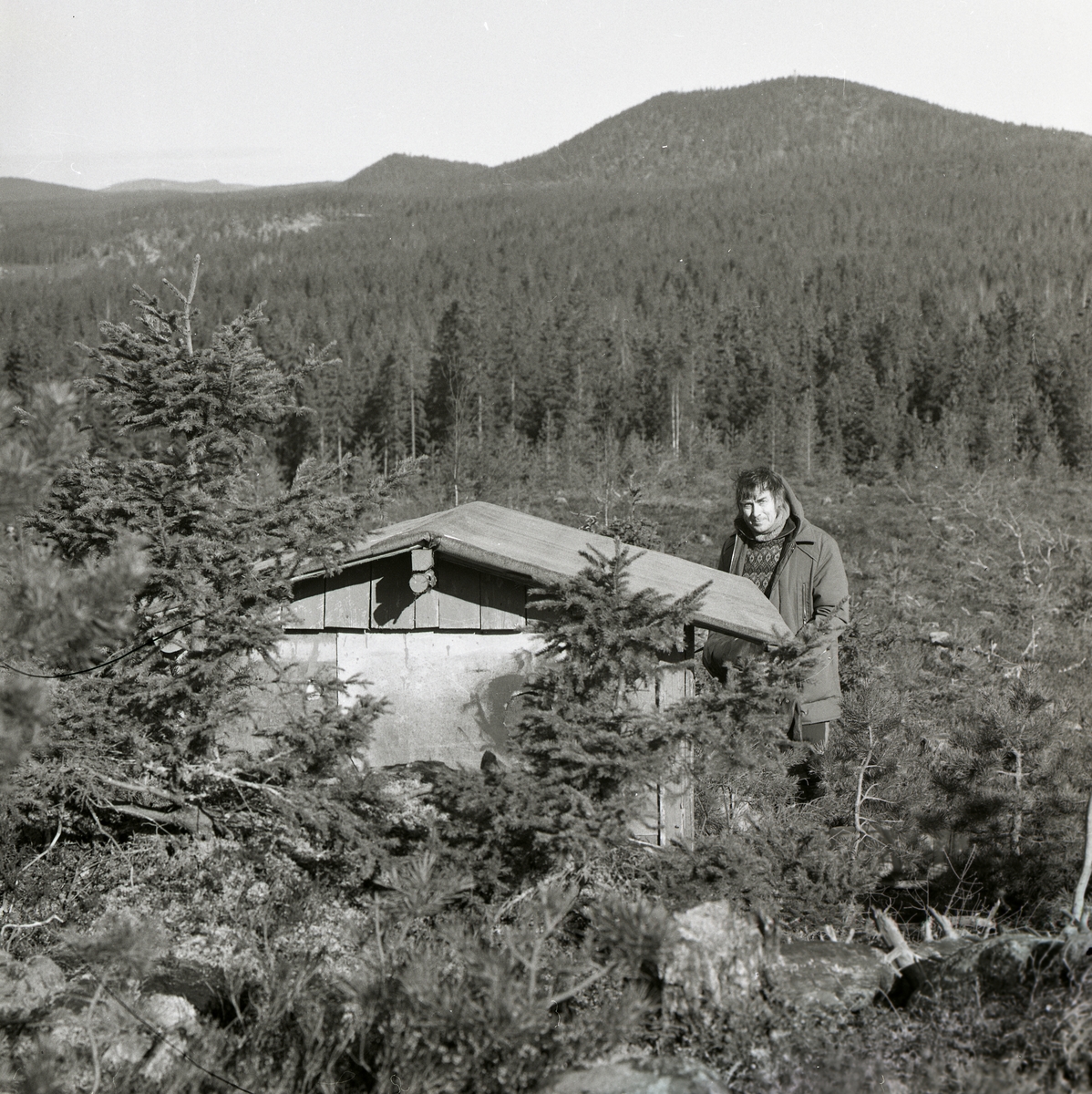 En man iförd en tjock jacka står vid en orrkoja i skogen på Stråsjöberget, 1975.