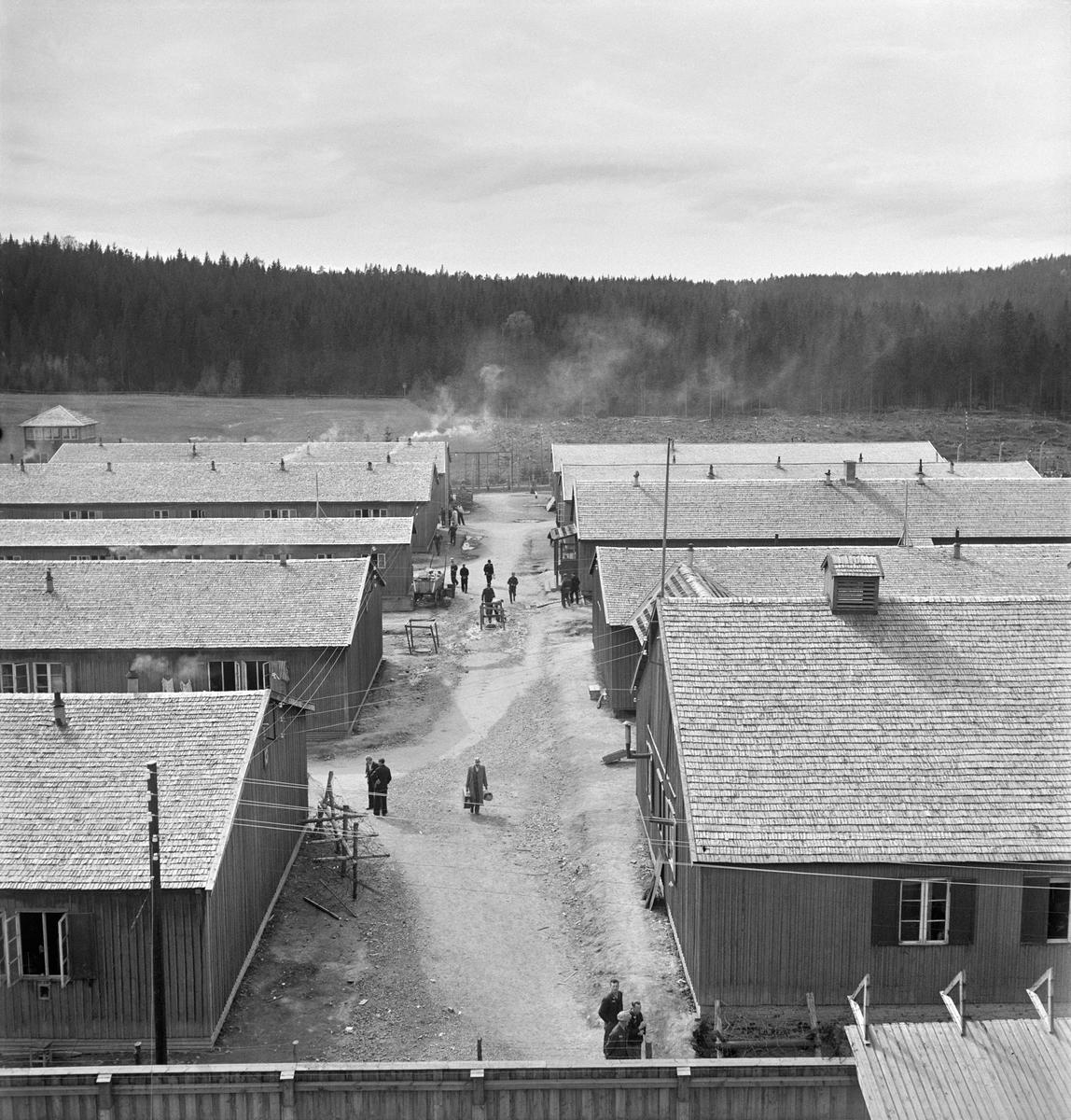 Grini fangeleir, 1945 (Foto/Photo)