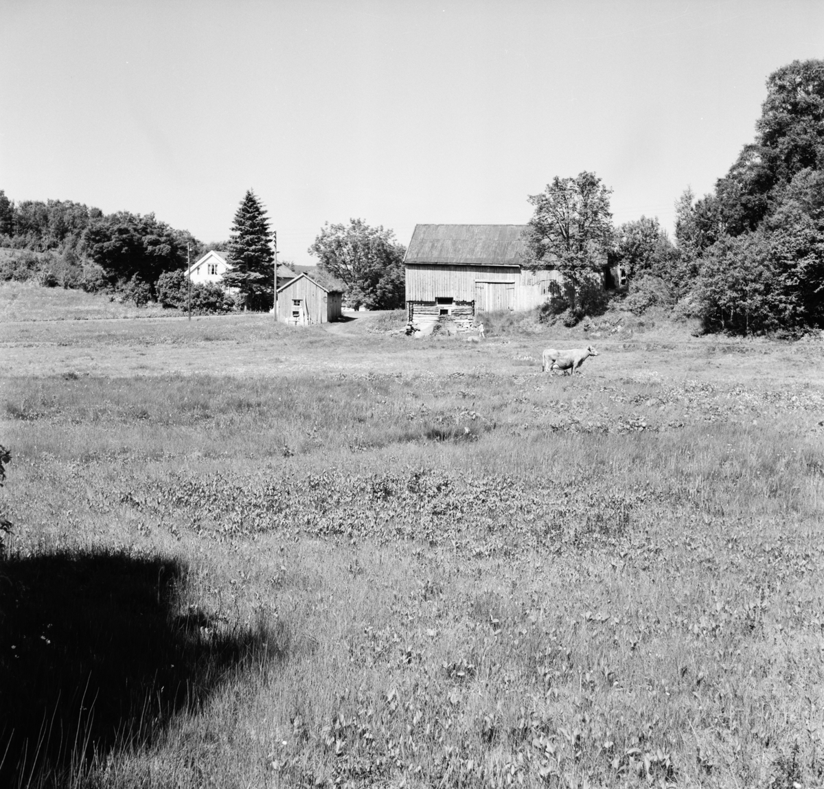 Gården på Djupvik der tunet til den gamle Djupvik- gården lå. Utsikt over Djupvika.