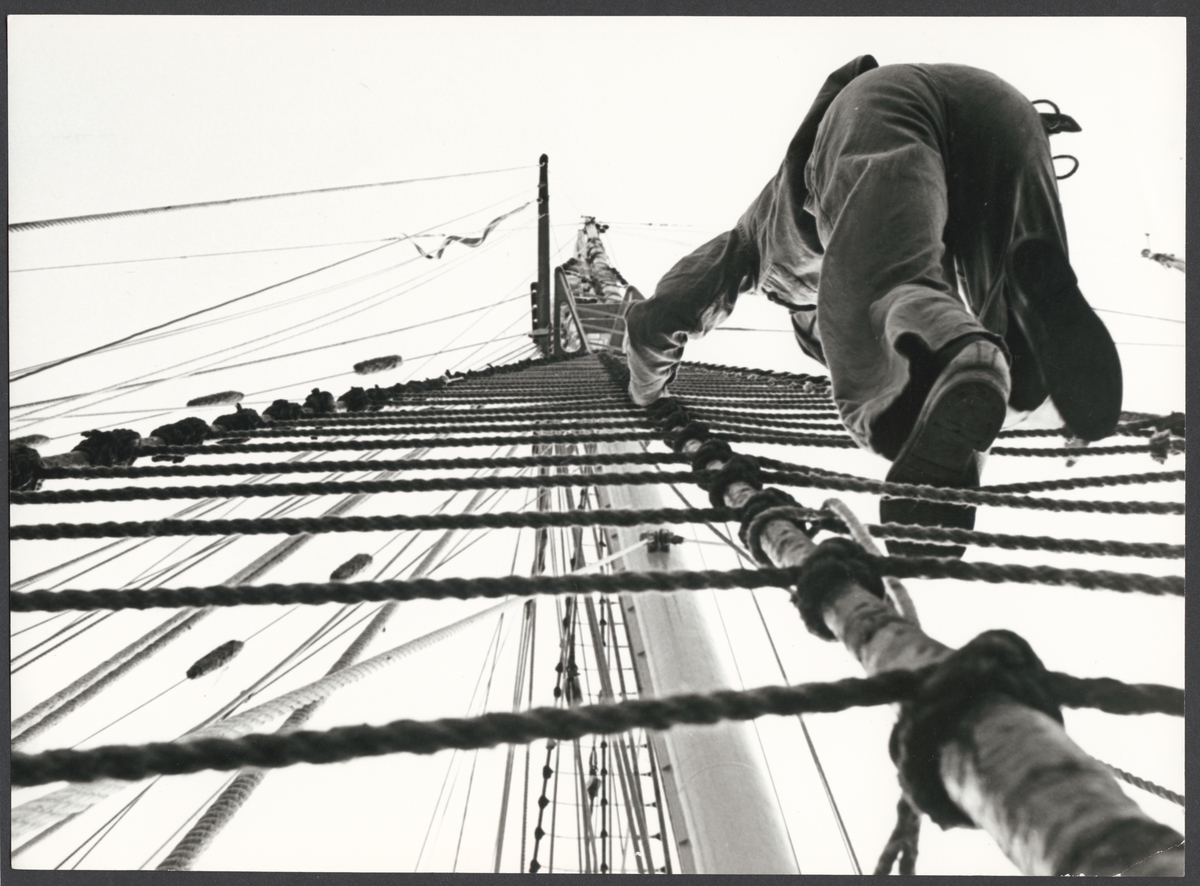 Bilden visar en kadett som klättra upp i en vant på en av flottans skolfartyg Gladan eller Falken. Fotot är tagen underifrån ur grodperspektiv