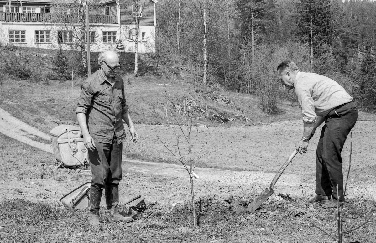 Slora eksteriør. Prost H.C. Mamen planter trær og går på stylter.