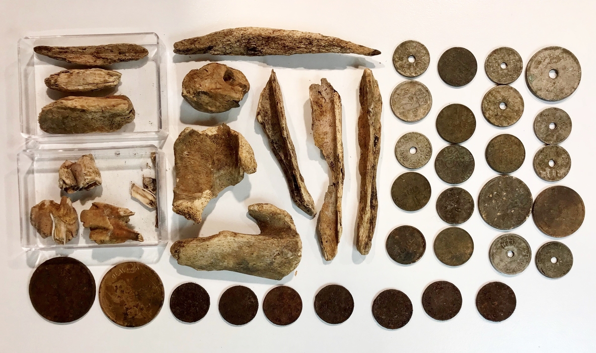 Offerplassfunn bestående av 27 norske og to svenske mynter, 10 fragmenter av bein og tre tenner.