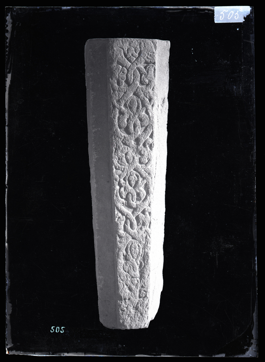 Middelaldersk (1100-tall) gravstein fra Nidarosdomen. Tette ranker som fletter seg sammen, muligens et Jessetre.