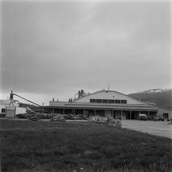 Hattfjelldal Kommune 100 år