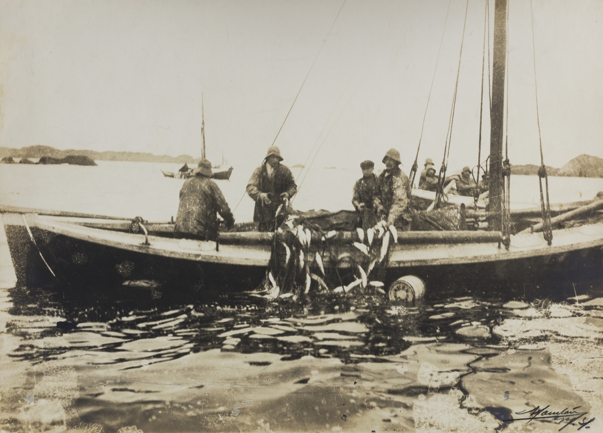 Gruppebilder - Vårsildfiske omkring 1900.