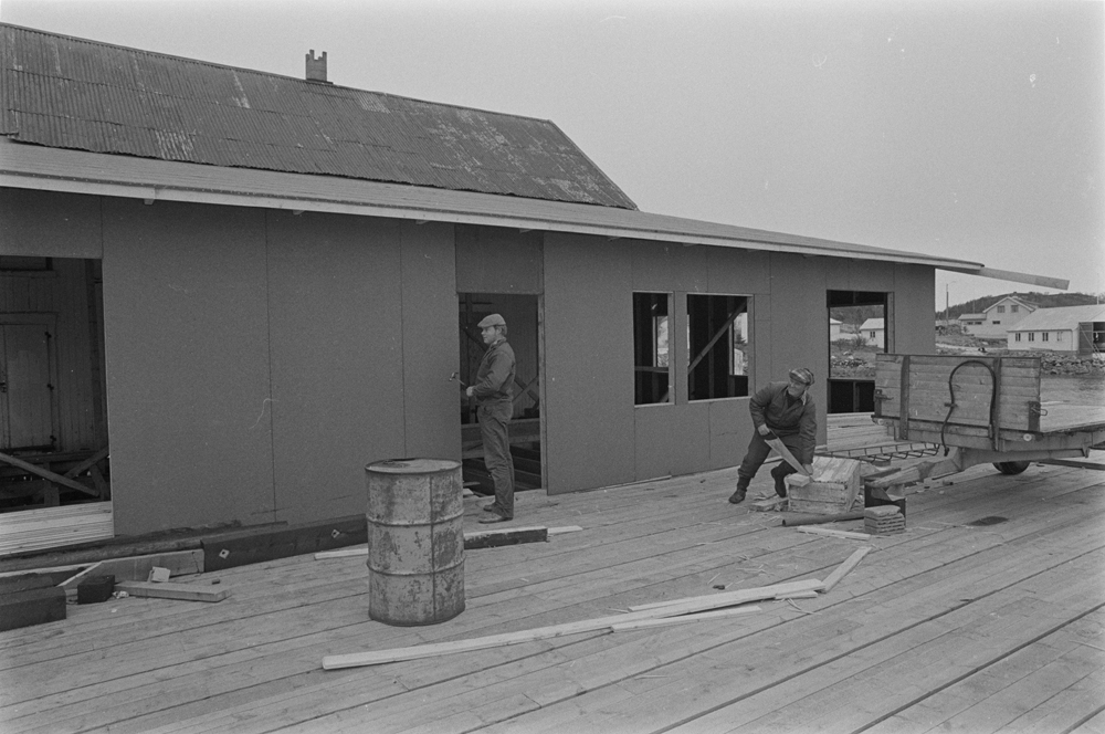 Tørrfiskanlegget på Husvær 1977.
Nybygging av kai og kaihus. Snekkere i arbeid.