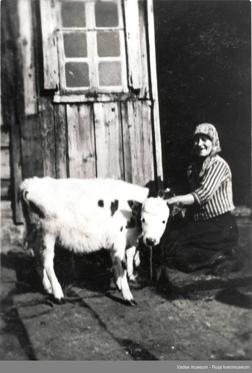 Karoline Tuomainen med kalv i tunet på Tuomainengården 1933