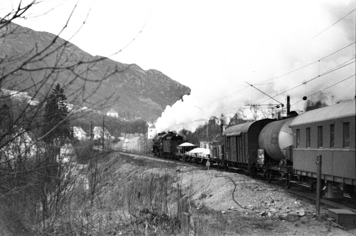 Damplokomotiv type 31b nr. 401 med godstog fra Oslo til Bergen, tog 5515. ved Fjøsanger stasjon.