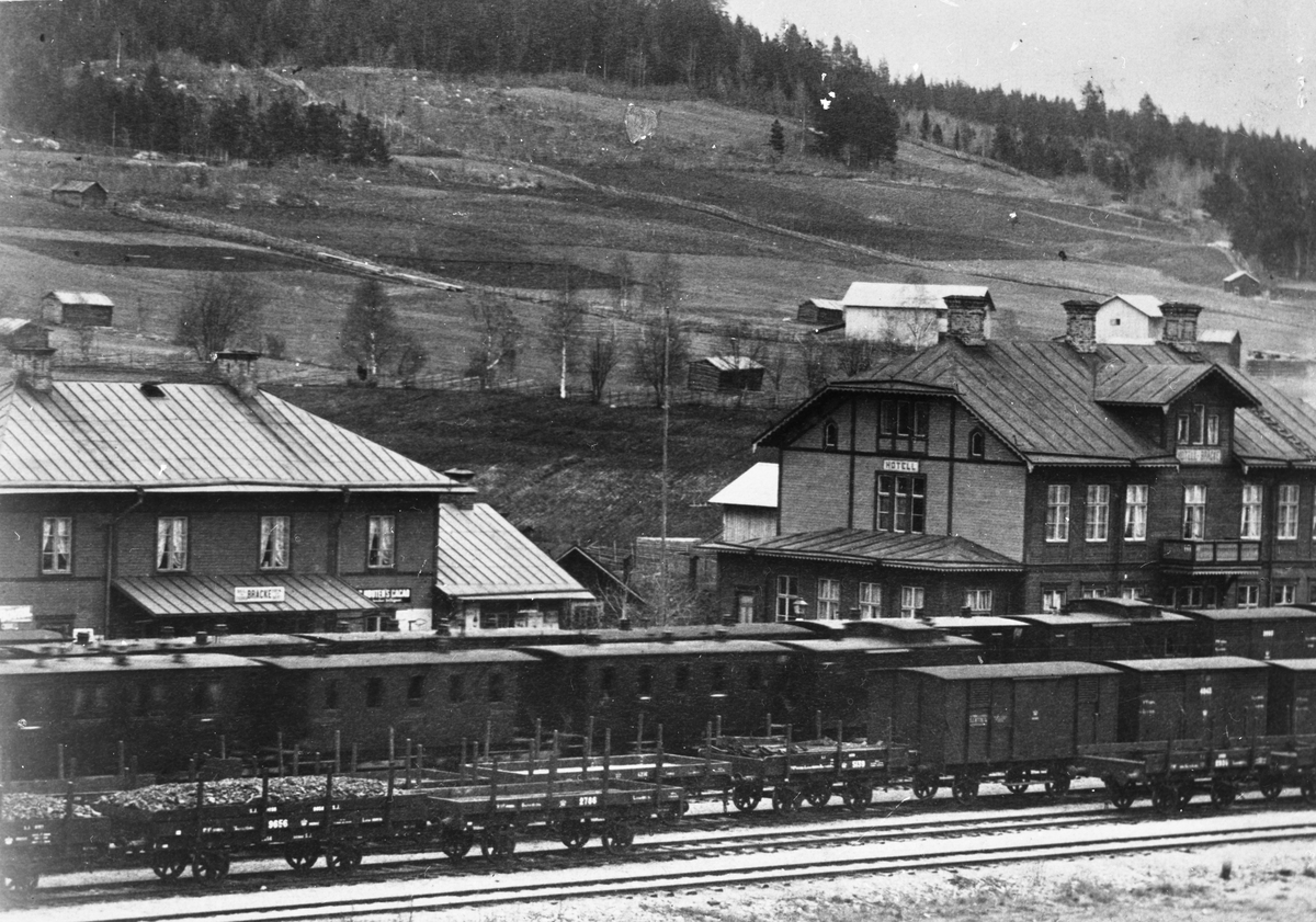 Bräcke järnvägsstation. Stationshuset till vänster och järnvägshotellet till höger. På spåret syns bland annat de öppna godsvagnarna SJ N 9656, SJ N 2786 och SJ N 5139. Där står också flera slutna godsvagnar, SJ G, samt ett flertal äldre personvagnar.