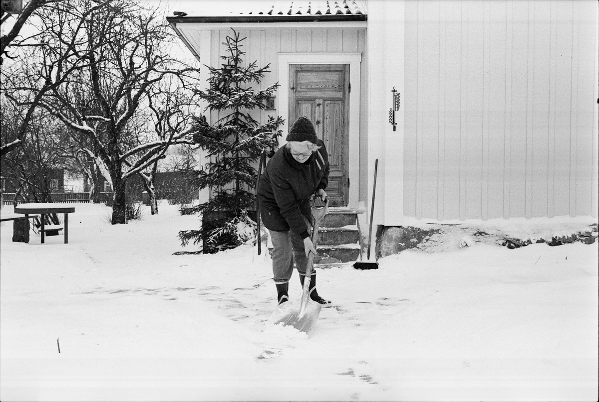 Jordbrukare Inger Wallén skottar snö, Sävasta, Altuna, Uppland februari 1988