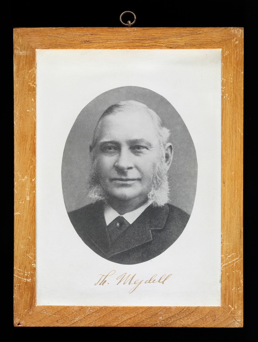Litografisk gjengivelse av fotografisk portrett av den norske forstmannen Thorvald Mejdell (1824-1908).  Portrettet er øyensynlig klippet (ovalt) fra en rastrert trykksak.  Vi ser forstmesterens ansikt, hals og deler av brystet.  Han var kledd i mørk dress med kvit skjorte og slips under.  Da dette fotografiet ble tatt hadde Mejdell grålig, sidekjemt hår og markert kinnskjegg. Thorvald Mejdell var offisersønn, født i Ringsaker i Hedmark.  Han tok eksamen artium i 1842, og fem år seinere var han ferdigutdannet mineralogisk kandidat.  De unge kandidaten ble ansatt ved Kongsberg sølvverk, i en stilling der han fikk ansvar for sølvverkets skoger, som fortsatt var en viktig del av virksomhetens ressursforråd.  Mejdell opparbeidet seg raskt kunnskap om skogen og skogbruket, og han ble derfor oppnevnt som medlem i en offentlig kommisjon som skulle undersøke skogen i Rendalen allmenning, hvor Røros kobberverk hadde tæret hardt på ressursene.  At skogsdriftene gikk hardt ut over ressursgrunnlaget var ikke spesielt for dette området.  Norske embetsmenn hadde levert bekymrete rapporter om «rovhogster» i mange generasjoner.  Myndighetene hadde forsøkt å stanse denne negative utviklinga gjennom restriksjoner, uten at dette hadde ønsket virkning.  Under behandlinga av statsbudsjettet for perioden 1853-54 foreslo imidlertid statsminister Frederik Stang at det skulle bevilges midler til «Ophold i Udlandet for Mænd, der attraa at studere Forstvidenskaben».  Mineralogen Mejdell og juristen Jacob Bøckmann Barth var de første som fikk reise til Tyskland for å studere skogbruk med slike stipender.  Mejdell reiste til forstakademiet i Tharandt i Sachsen, hvor han oppholdt seg i perioden 1852-1855.  Etter hjemkomsten ble både Mejdell og Barth ansatt som statens rådgivere i skogsaker.  Fra 1857 ble han forstmester på Hedmarken.  Deretter – fra 1861 til 1875 – var han forstmester og overbestyrer for skogene som Opplysningsvesenets fond disponerte.  Mejdell var også den foretrukne kandidaten til det riksdekkende skogdirektørembetet, som ble opprettet i 1874.  Av en eller annen grunn avslo han tilbudet, og trakk seg fra sine offentlige embeter.  I stedet arbeidet han som forstmester for selskapskogene til Kiær & Co, inntil han avsluttet sin yrkesaktive karriere i 1892.  Tidlig i sin karriere (1858) skrev Mejdell boka «Om Foranstaltninger til en mere husholderisk Behandling af Norges Skove» og ei bok om skogene langs Arendalsvassdraget.  Seinere publiserte han mest artikler i fagtidsskrifter og aviser. 